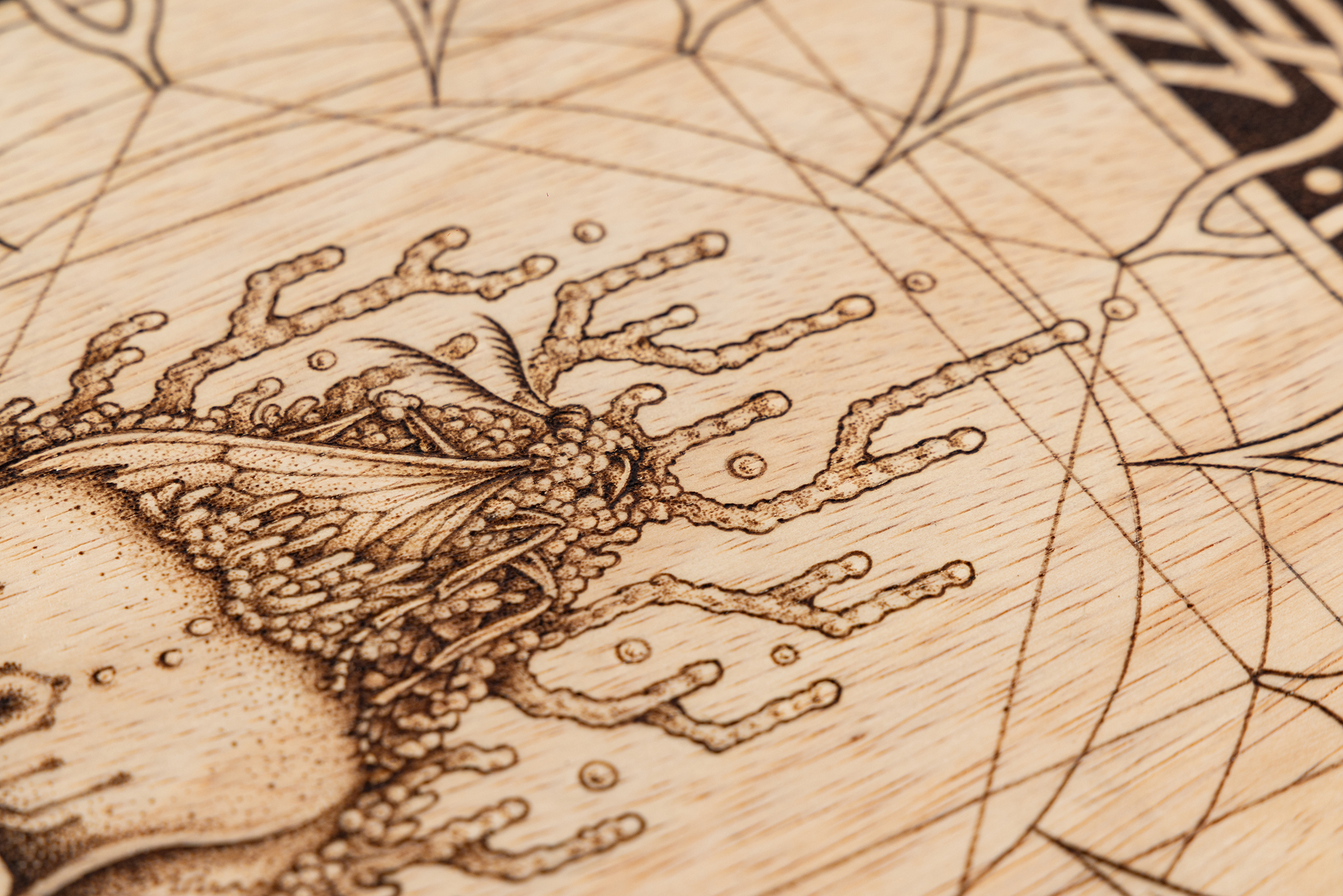 MARO作品細部 5  | UNDER JOB PARTY | ART AUCTION | Present by NOSETARADAMAS